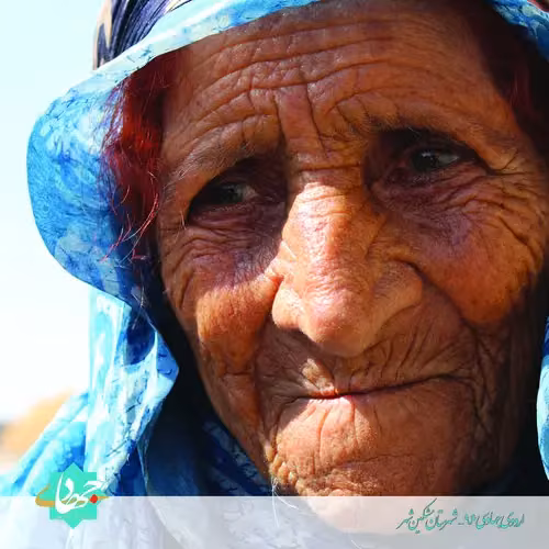 تصویر 16 گالری