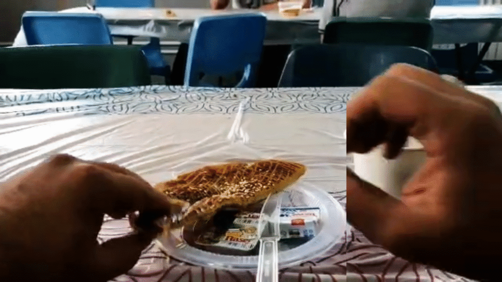 جهادی از نگاه جهادگر